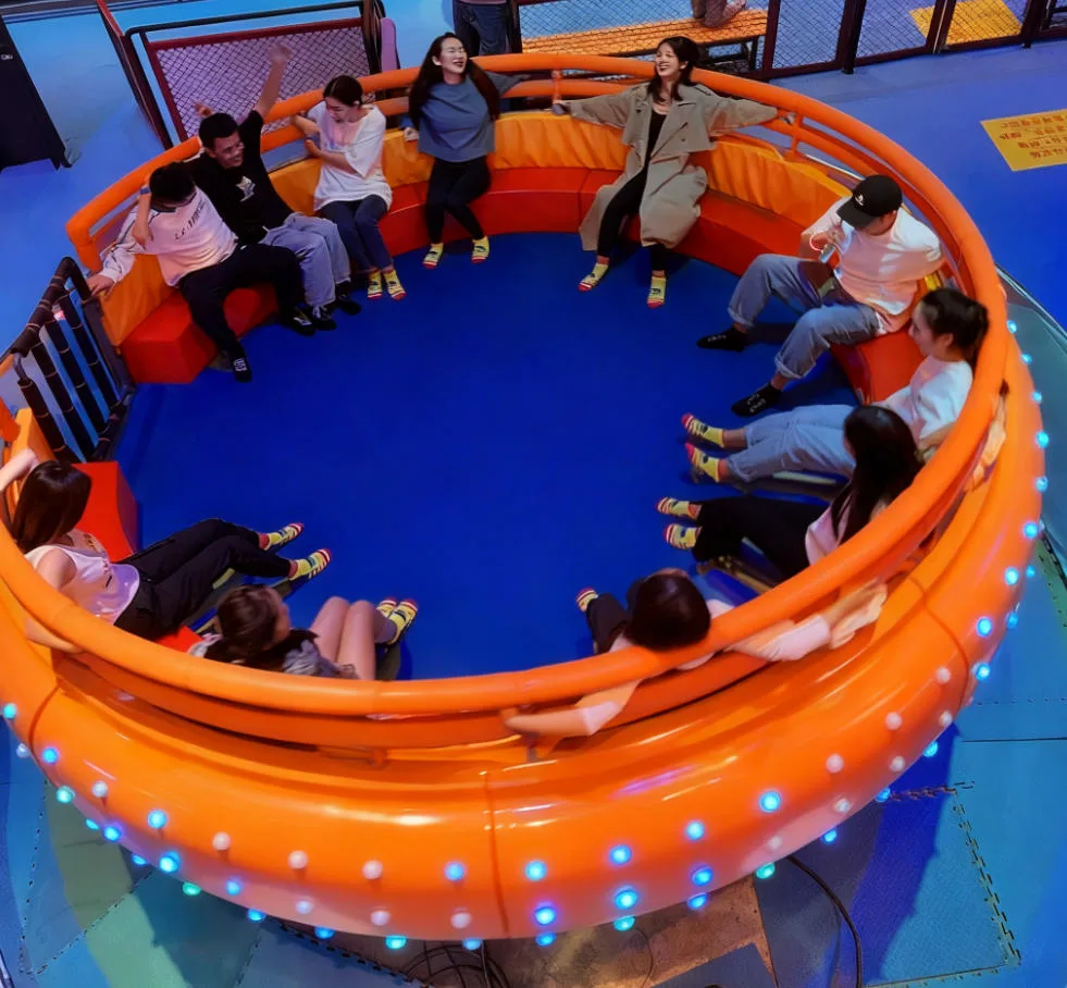 Home Magic disk ride